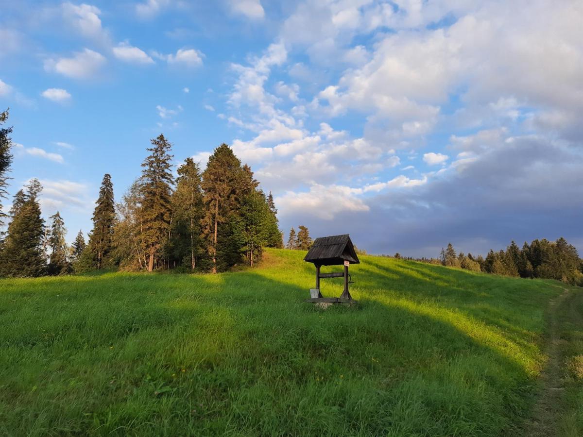 Domek Na Szlaku Rikardo Ponice Экстерьер фото