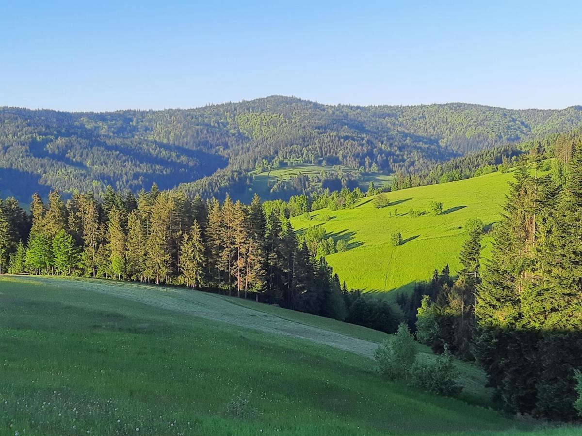 Domek Na Szlaku Rikardo Ponice Экстерьер фото